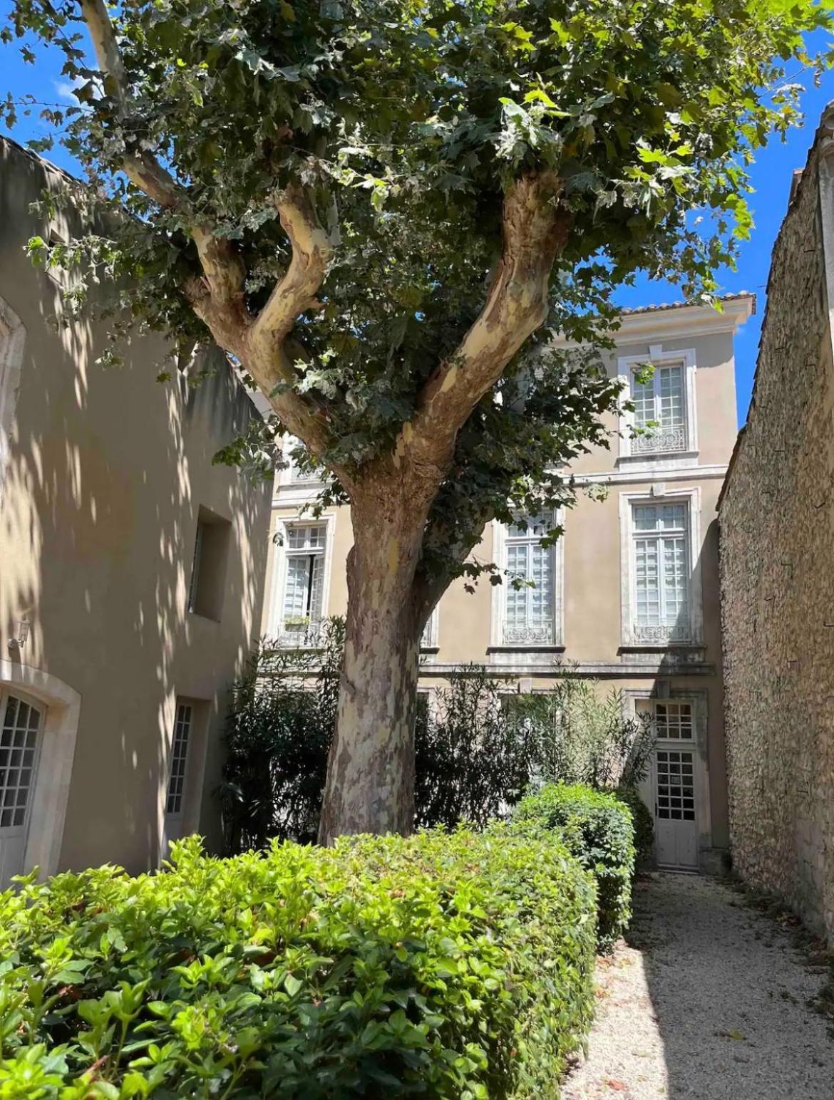 Superbe Appartement De Charme A 10Mn De Saint-Remy Noves Exterior foto